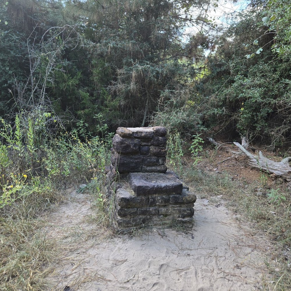 Bastrop State Park - Parks Near Me - Bastrop, Texas