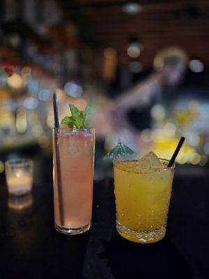 The Semi-Tropic by null The Semi-Tropic by null