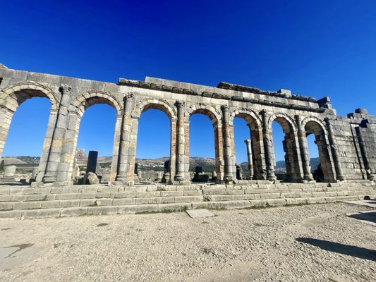 Intrepid Travel by null