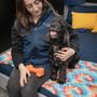 Photo of Pet Express
