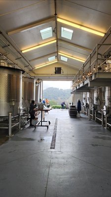 CAST Wines by null