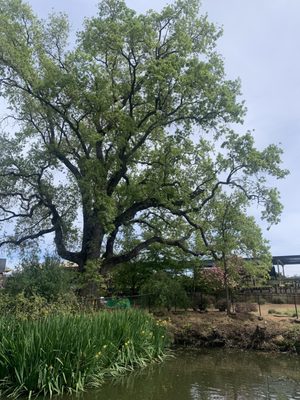 Amador Flower Farm by null