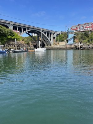 Whale's Tail Charters by null