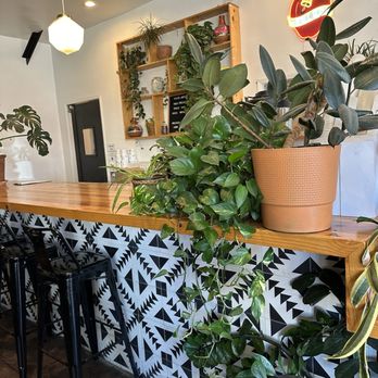 Salud Juice - Bar area - Juice Bars & Smoothies Near Me - Long Beach, California Salud Juice - Bar area - Juice Bars & Smoothies Near Me - Long Beach, California