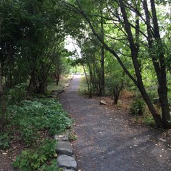 Université de Montréal - Little path up the mountain