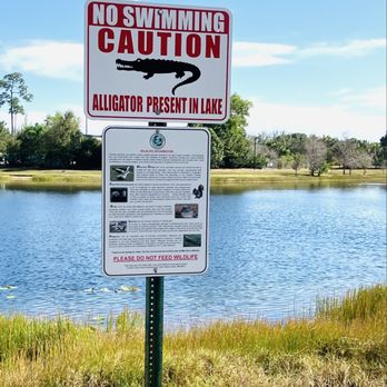 Greenacres City Hall - No swimming! - Town Hall Near Me - Greenacres, Florida