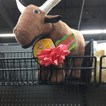 Homes Alive Pet Centre - Yes Virginia, it's a dog toy! Triceratops and dragons in all sizes too! - Pet Stores Near Me - Edmonton, Alberta
