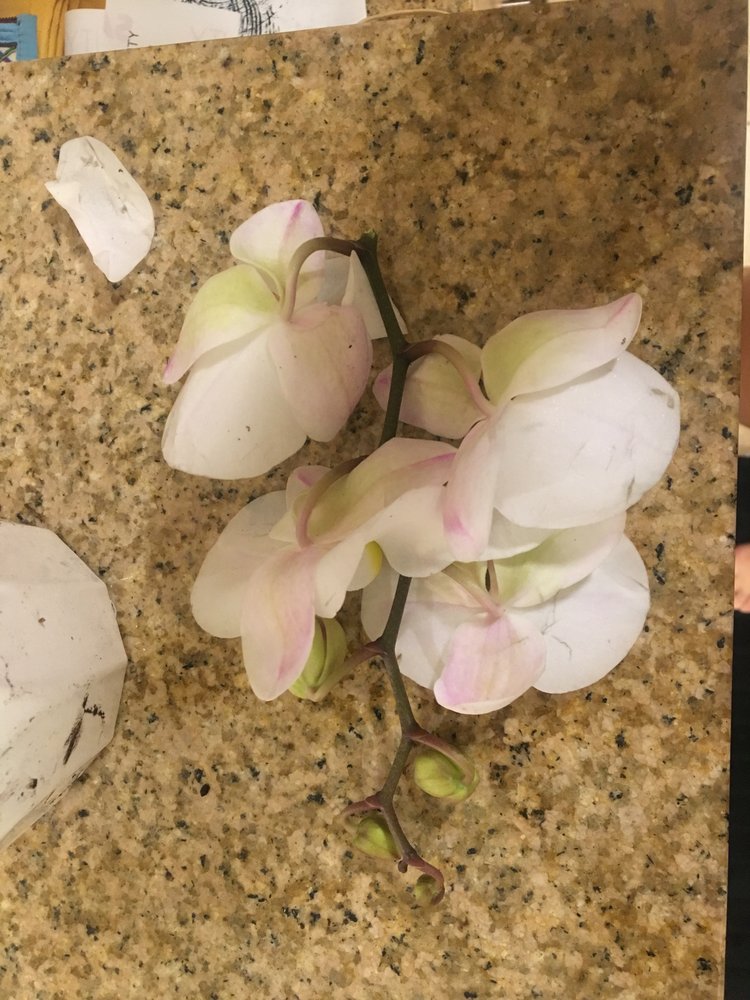 GREEN CIRCLE GROWERS Updated October 2024 51051 US Highway 20