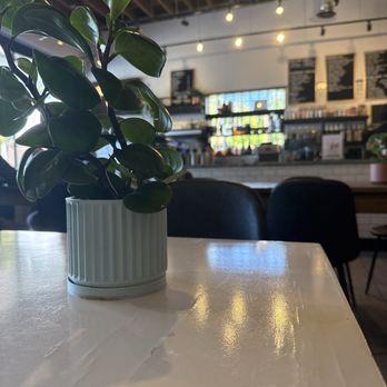 Grounded All Day Cafe - Interior - Coffee & Tea Near Me - Lexington, Kentucky Grounded All Day Cafe - Interior - Coffee & Tea Near Me - Lexington, Kentucky