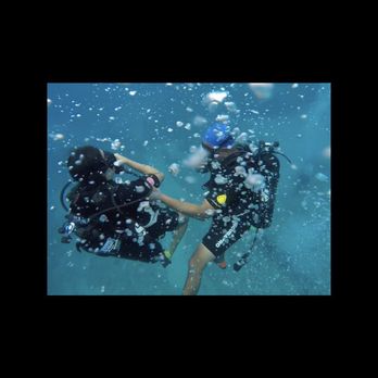 Trident Adventures - Dive Shops Near Me - Honolulu, Hawaii Trident Adventures - Dive Shops Near Me - Honolulu, Hawaii