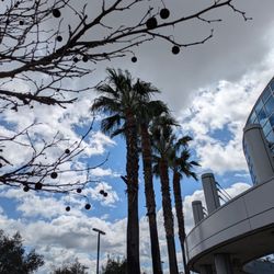 Loma Linda University Medical Center