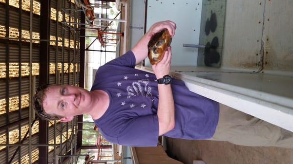 Palawan Wildlife Rescue and Conservation Center (Crocodile Farm) by null