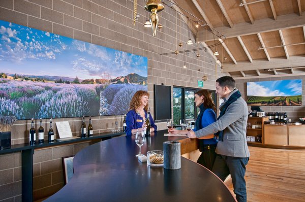 Matanzas Creek Winery by null