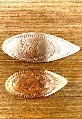 Raccoon Mountain Caverns and Campground by null