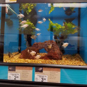 Petco - Clean tanks - Pet Groomers Near Me - Bothell, Washington