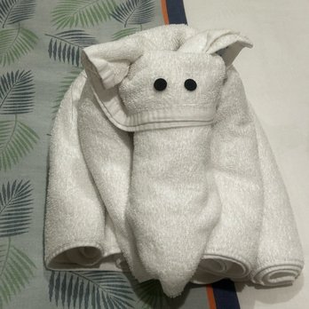 Carnival Breeze - Towel pet - Boat Tours Near Me - Galveston, Texas