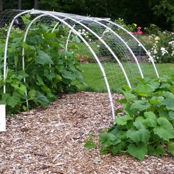 Boerner Botanical Gardens - Ideas for the home garden .... - Botanical Gardens Near Me - Hales Corners, Wisconsin