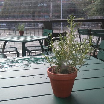 Fields Bar and Kitchen - Tennis courts for a more healthy start to the day. Then a healthy breakfast here! - Pizza Near Me - London, XGL