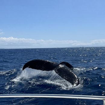 Makai Adventures - Boat Charters Near Me - Lahaina, Hawaii Makai Adventures - Boat Charters Near Me - Lahaina, Hawaii