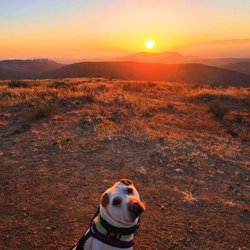 Drew and the sunset