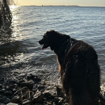 Loving Linda’s Pets - Splashing around! - Pet Sitting Near Me Loving Linda’s Pets - Splashing around! - Pet Sitting Near Me