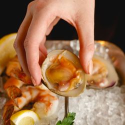 Fresh Salt - Fresh Oysters 
Photo: Bread & Beast Photpgraphy