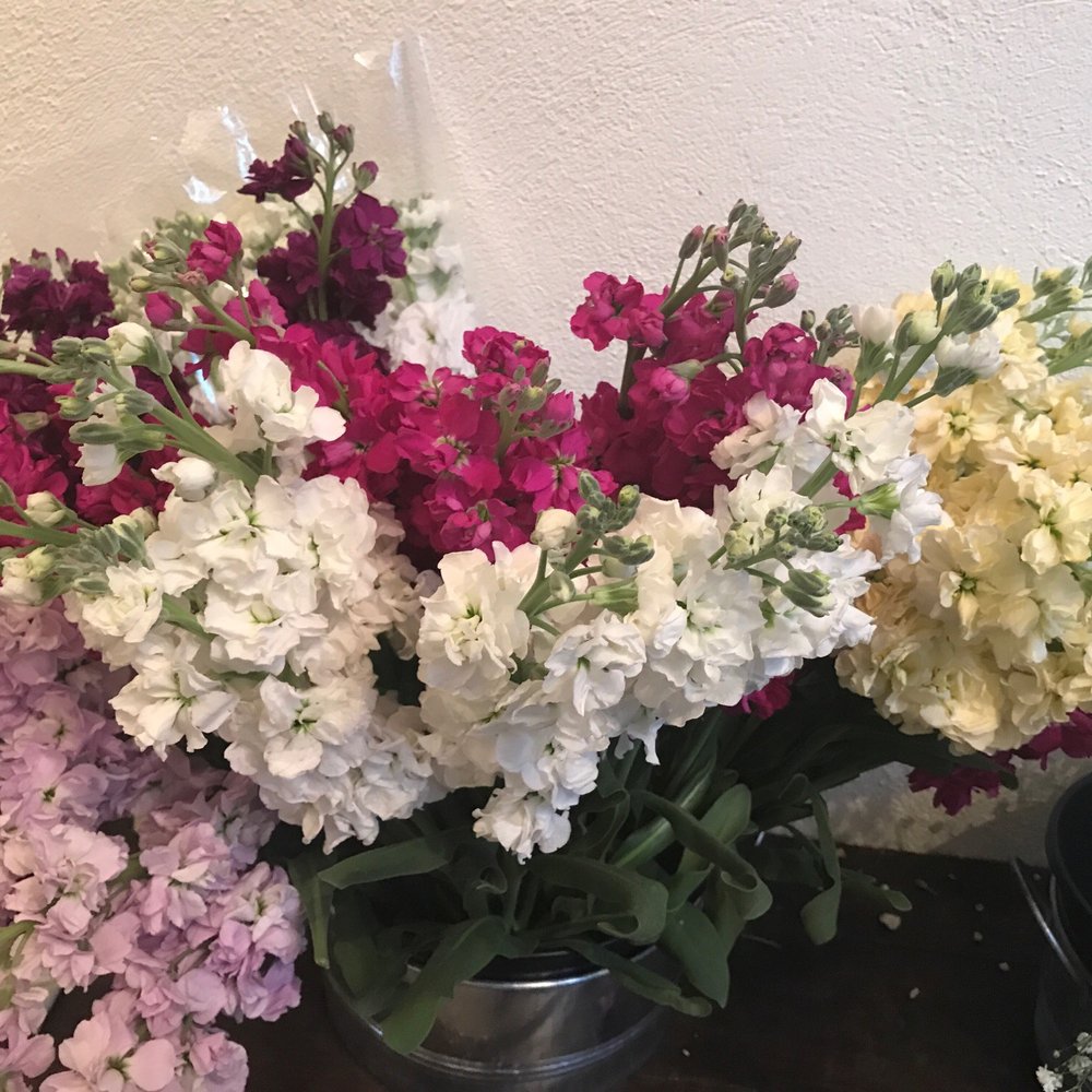 Petale - Florists Near Me - Raleigh, North Carolina Petale - Florists Near Me - Raleigh, North Carolina