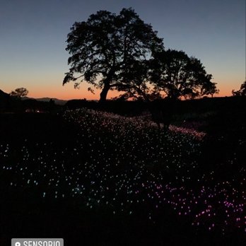 Sensorio - After the sunset - Art Galleries Near Me - Paso Robles, California Sensorio - After the sunset - Art Galleries Near Me - Paso Robles, California