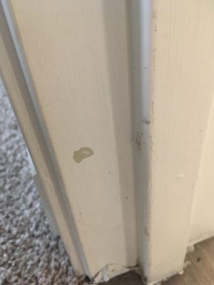 The Huntington by null