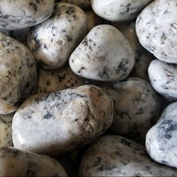 Mystic Healers - Tumbled Dalmatian