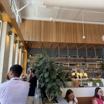 Dish Society - Order line - Southern Near Me - Austin, Texas Dish Society - Order line - Southern Near Me - Austin, Texas