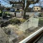Photo of Seattle Tree Professionals