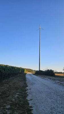 McCall Wines by null