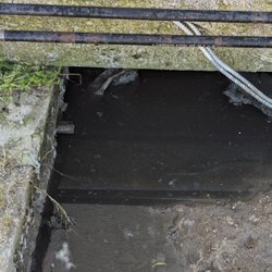 Pro Management - Still sewage, now Flies and Mosquitos