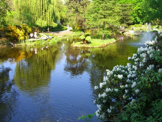 Botanical Garden of the University of Wrocław by null