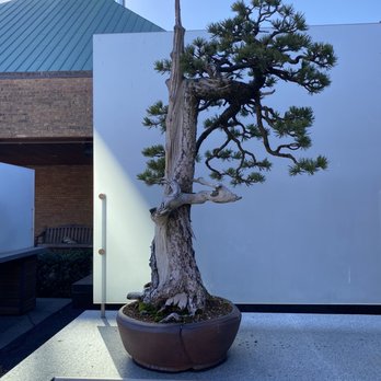 Chicago Botanic Garden - Botanical Gardens Near Me - Glencoe, Illinois