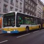 Photo of Bibus