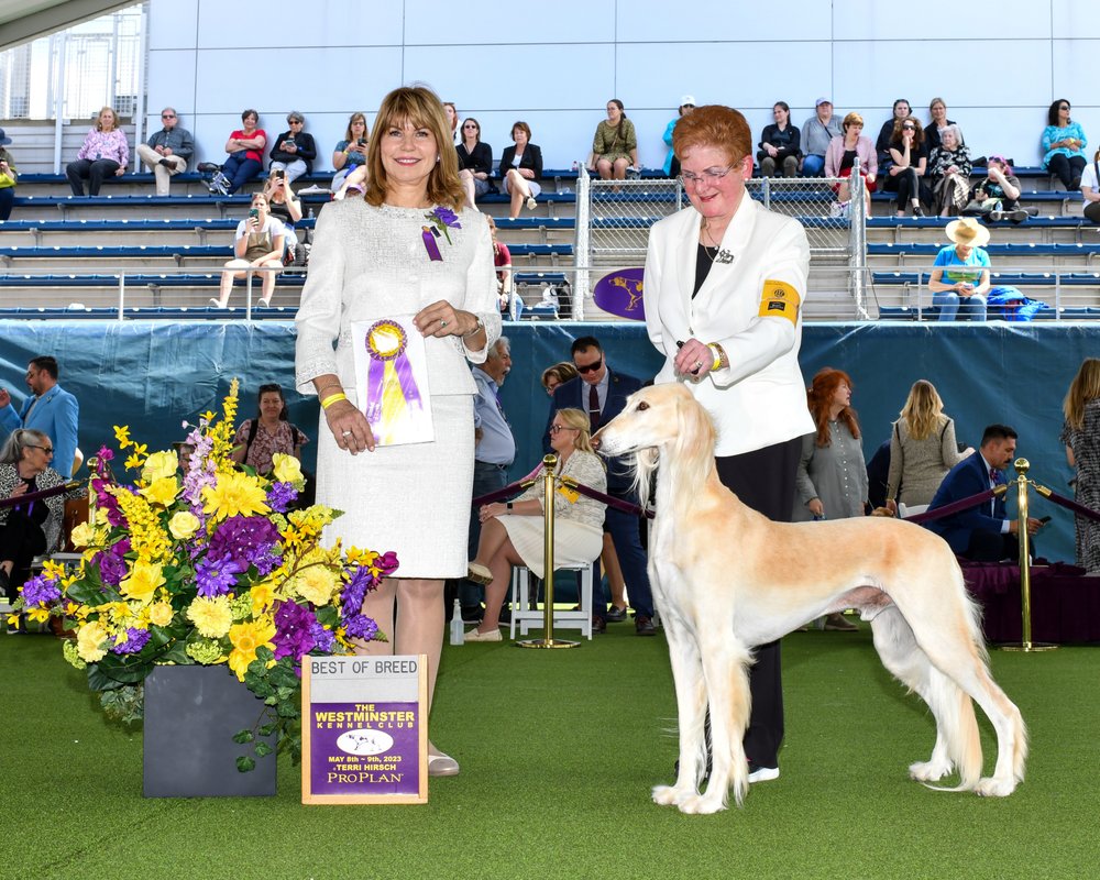 AURORA KENNEL Updated September 2024 111 Photos & 22 Reviews 9721