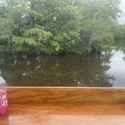 Swamps