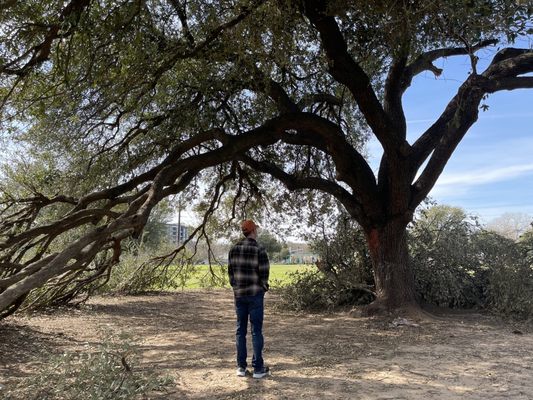 Butler Metro Park by null