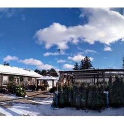 LittleTree Garden Market