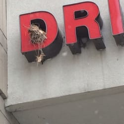 Walgreens - Nest in the drive thru