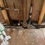 Photo of Omni Property Inspections & Environmental
