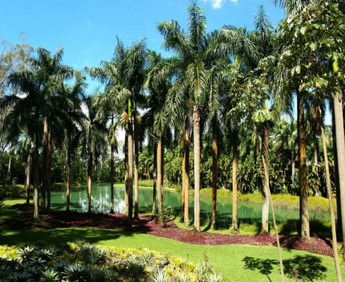 Inhotim Museum by null