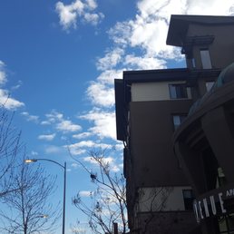 Spring season nearby the Leasing Office Spring season nearby the Leasing Office