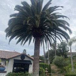Santos Pena Tree Care and Services - After