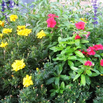 Janss Marketplace - Flowers near dancing waters fountain - Shopping Centers Near Me - Thousand Oaks, California Janss Marketplace - Flowers near dancing waters fountain - Shopping Centers Near Me - Thousand Oaks, California