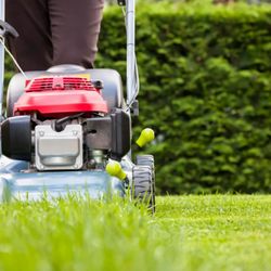 Sawgrass Landscapers