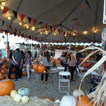 Frosty's Forest Pumpkin Patch - Attraction Farms Near Me - Chino, California Frosty's Forest Pumpkin Patch - Attraction Farms Near Me - Chino, California