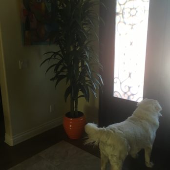 Live Art Plantscapes - Tree Services Near Me - Gardena, California Live Art Plantscapes - Tree Services Near Me - Gardena, California